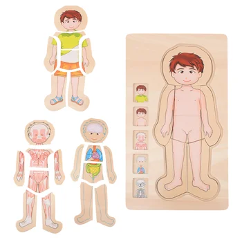 Puzzle Ķermeņa Rotaļlietas Cilvēku Bērniem Anatomija Koka Struktūru Educationaltoys Montessori Mozaīkas Modelis Multi Daļas Slānis Izlūkošanas