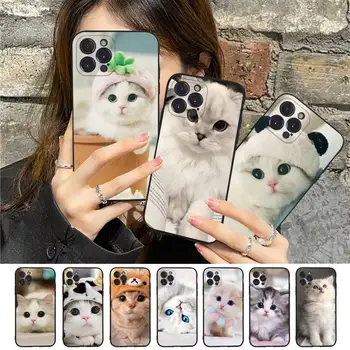Gudrs Kaķis Kaķēns Tālrunis Lietā Par iPhone 8 7 6 6S Plus X SE 2020. GADAM XR XS 14 11 12 13 Mini Pro, Max Mobilo Gadījumā
