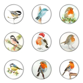 Mākslas, Zīmēšanas Vintage Putnu Krāsošanas Kārtu Foto Stikla Cabochon Demo Dzīvoklis Atpakaļ Pieņemšanas Secinājumi Roku darbs DIY Piederumi